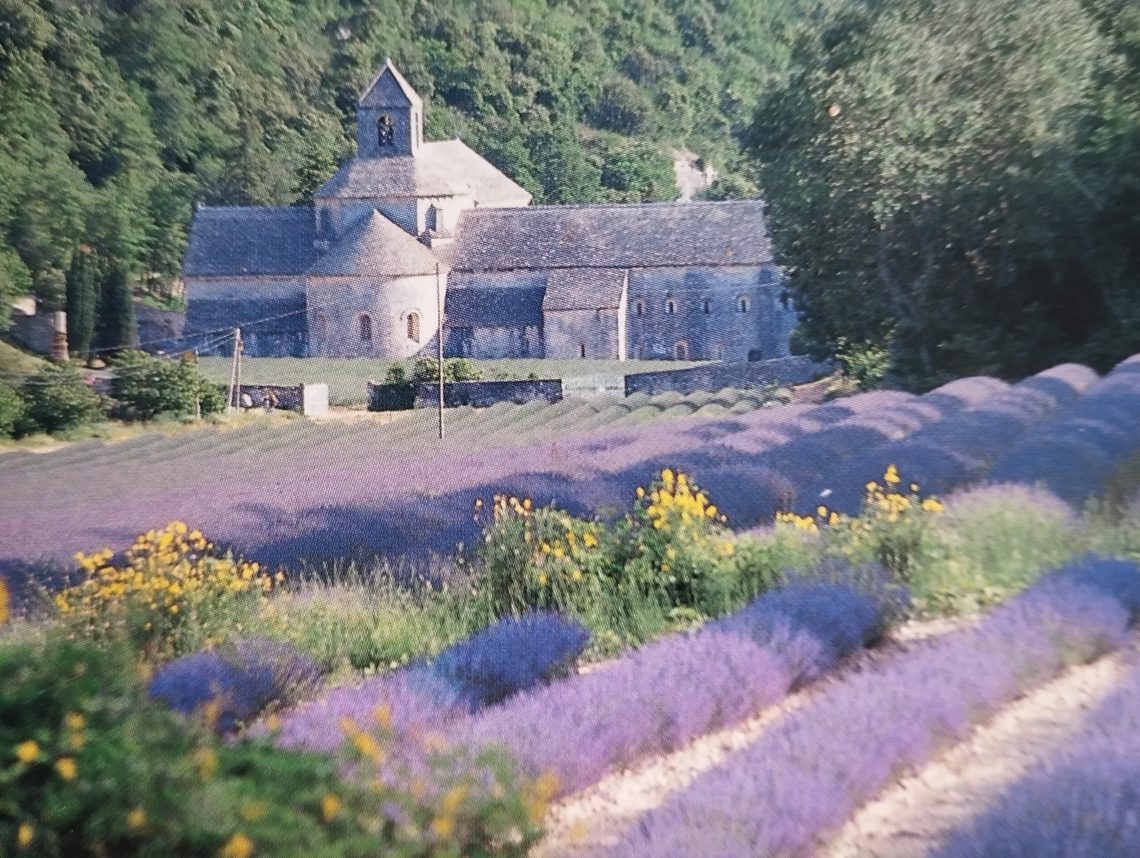 Géobiologie/Bioénergie/Vieilles pierres sacrées en Lubéron et sur le plateau de Vaucluse